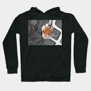 Left Behind Hoodie